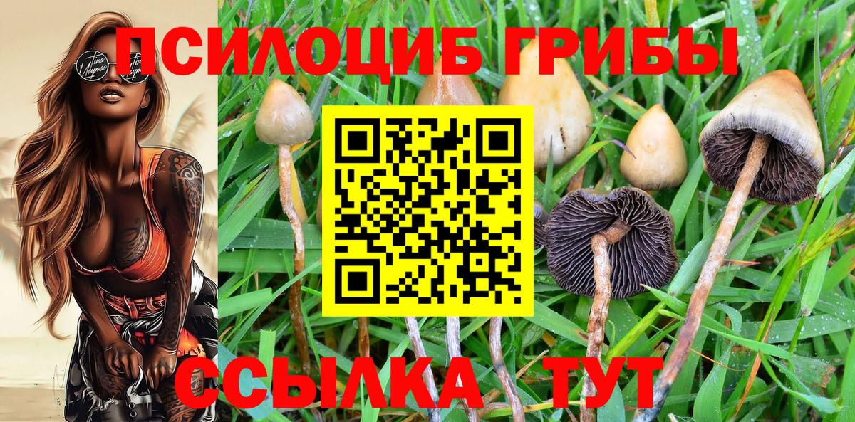 Псилоцибиновые грибы MAGIC MUSHROOMS Дальнереченск
